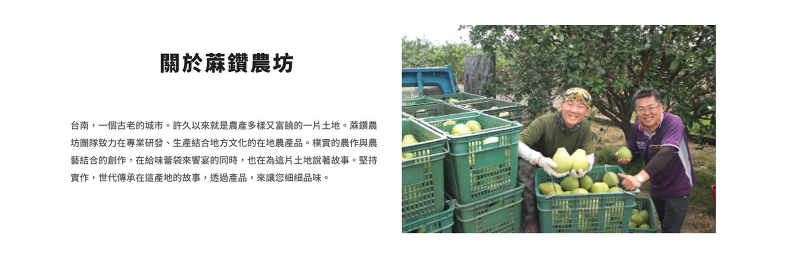 台南SEO優化成功案例－蔴鑽農坊品牌介紹｜鯊客科技網站設計SEO優化公司