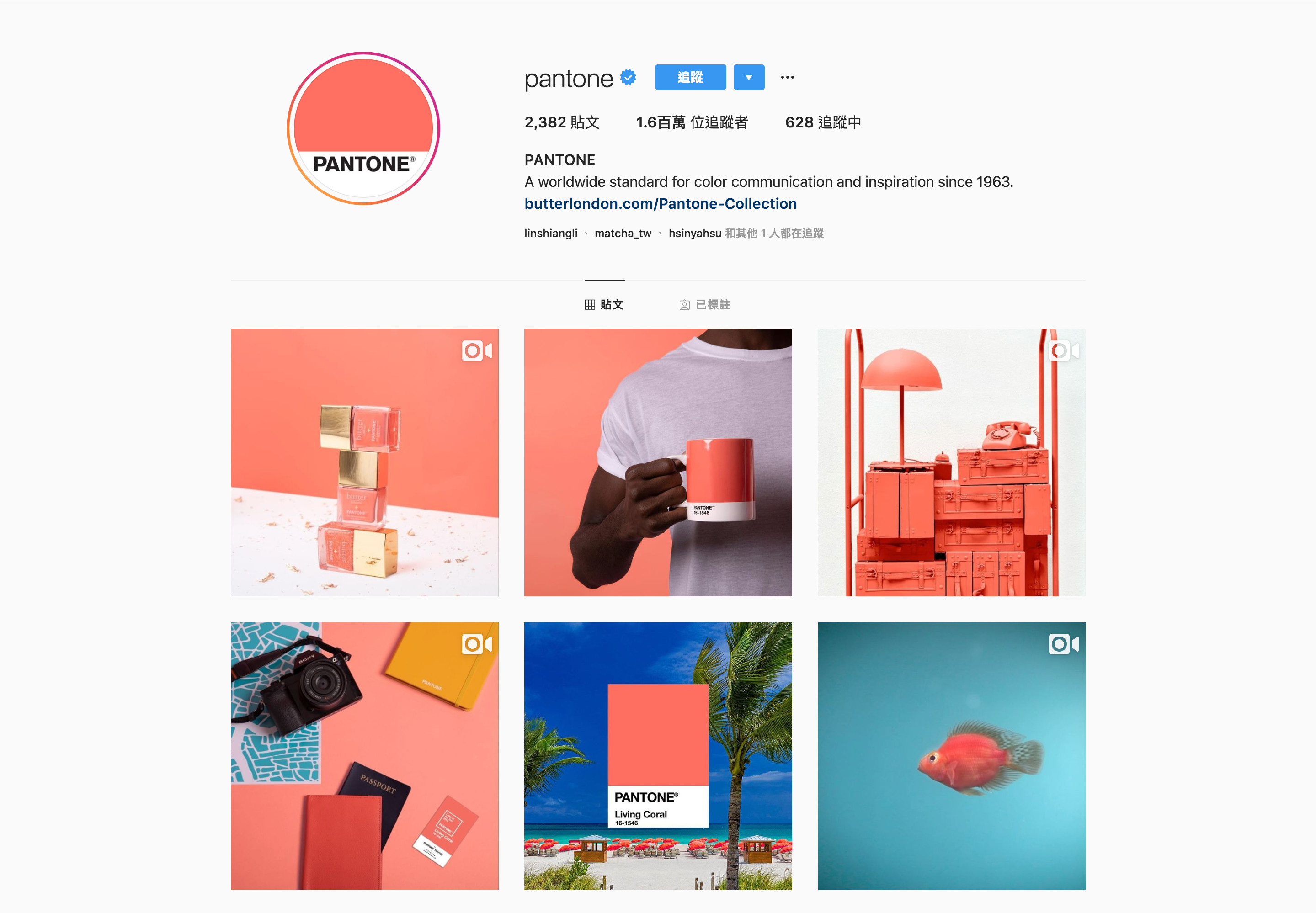 2019 Pantone品牌經營流行顏色運用-鯊客科技