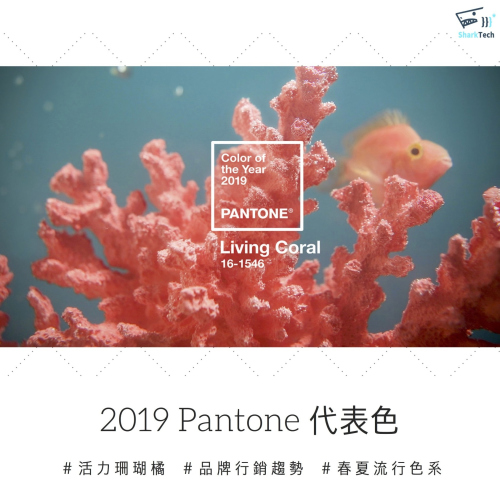 2019 Pantone年度代表色－活珊瑚橘Living Coral，展現科技時代自然生機