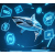GEO-SEO-sharktech