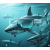 Meta-Connect-Meta-sharktech