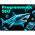 Programmatic SEO