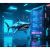 SEO、網域與DNS數位行銷的隱形支柱-sharktech