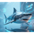 Kalshi 預測市場揭示 60% 看好 Google 打敗 ChatGPT-sharktech